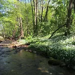Eldorstal-1-ferienwohnung-in-bad-harzburg-mit-hund-direkt-am-nationalpark-1000-qm-garten Lejlighed *