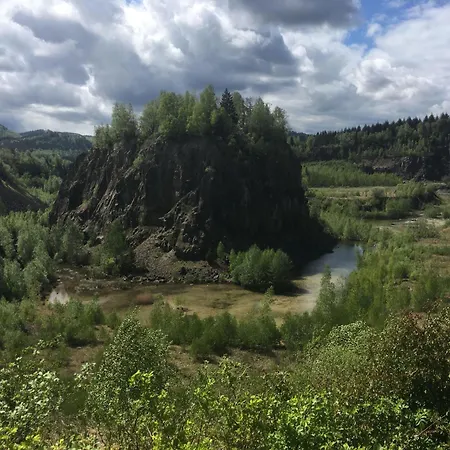 Lejlighed Eldorstal-1-ferienwohnung-in-bad-harzburg-mit-hund-direkt-am-nationalpark-1000-qm-garten