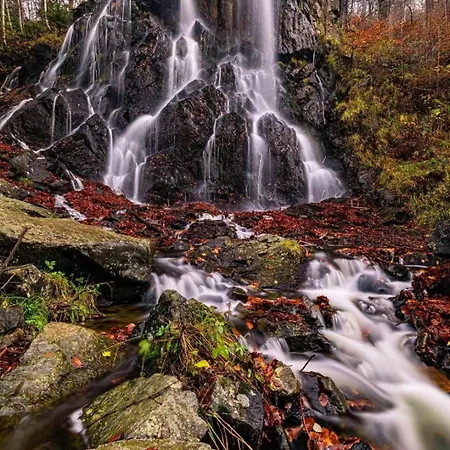 Eldorstal-1-ferienwohnung-in-bad-harzburg-mit-hund-direkt-am-nationalpark-1000-qm-garten * Bad Harzburg