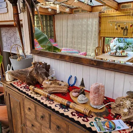 Eldorstal-1-ferienwohnung-in-bad-harzburg-mit-hund-direkt-am-nationalpark-1000-qm-garten Lejlighed Bad Harzburg