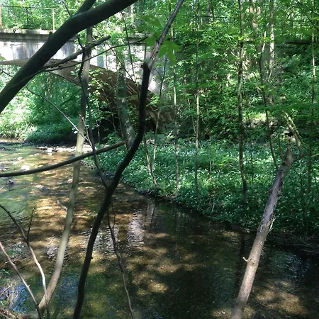 Eldorstal-1-ferienwohnung-in-bad-harzburg-mit-hund-direkt-am-nationalpark-1000-qm-garten * Bad Harzburg