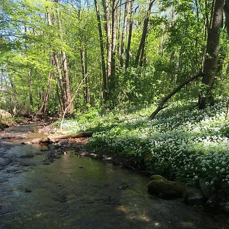 Eldorstal-1-ferienwohnung-in-bad-harzburg-mit-hund-direkt-am-nationalpark-1000-qm-garten Lejlighed *